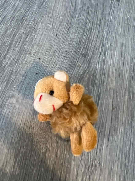Photo of free Mini Plush Key Chain. Good condition (Southsea PO4) #4