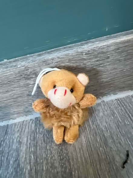 Photo of free Mini Plush Key Chain. Good condition (Southsea PO4) #1