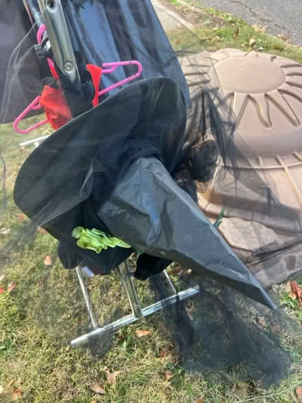 Photo of free Halloween costumes (Flemington) #3