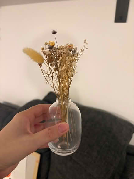 Photo of free Home decorations (Ryton NE40) #2