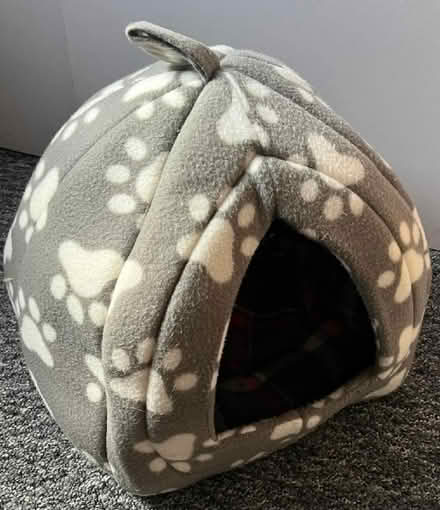 Photo of free Cat Igloo (Elmstead Market CO7) #1