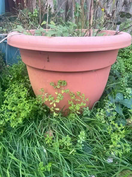 Photo of free Watering can and plant pots (Biggin hill) #1