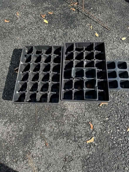 Photo of free seed starters and tray (Arlington Center) #2