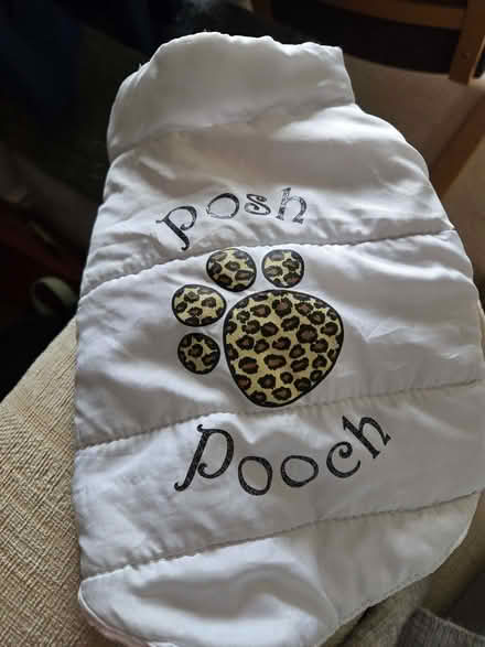 Photo of free 2 dog coats (Kingsway) #1