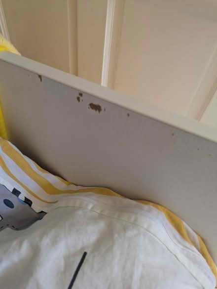 Photo of free Coat /coatbed (BR6 9) #2