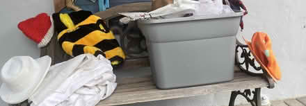 Photo of free Costumes, masks, beads (Community Center) #2
