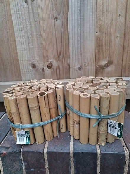 Photo of free Bamboo garden edging (Astwood Bank, Cookhill) #1