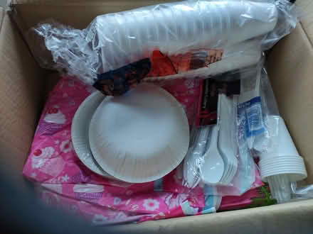Photo of free Kid's party disposable plates,cups etc (High Town LU2) #3