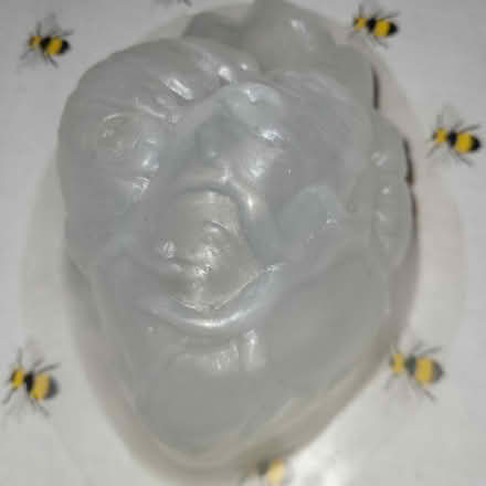 Photo of free Plastic Brain mould and heart mould (West Southbourne BH6) #2