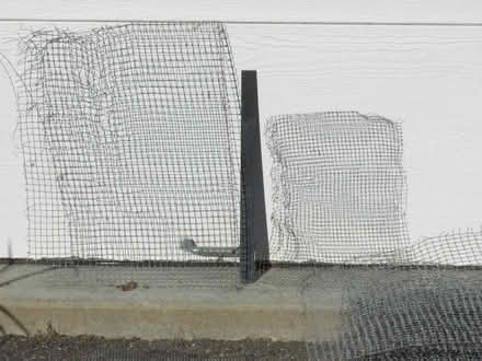 Photo of free Galvanized wire mesh pieces (Ashby) #2