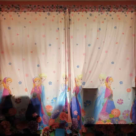 Photo of free Frozen curtains and lampshade (St Helens TN34) #2