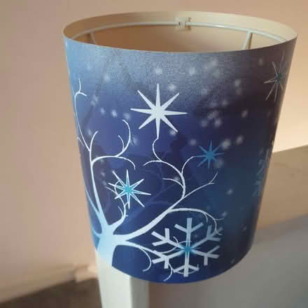 Photo of free Frozen curtains and lampshade (St Helens TN34) #1