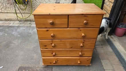 Photo of free Pine chest of drawers (Ranmoor S10) #3