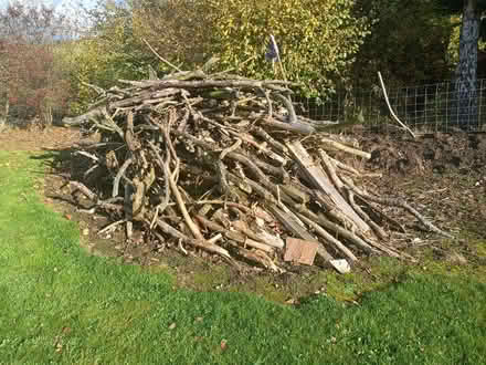 Photo of free Wood (Ingleton LA6) #1