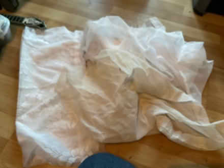 Photo of free Net certain (Portchester PO16) #1