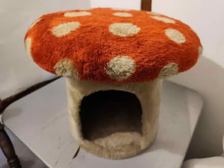Photo of free Cat bed (Water Eaton MK2) #1