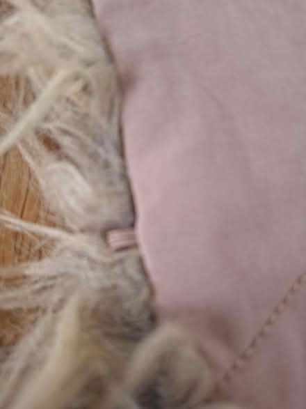 Photo of free 2 'Fur' Coat Collars (Panshanger AL7) #4