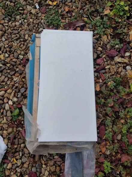Photo of free large white wall tiles (Caversham Heights RG4) #1