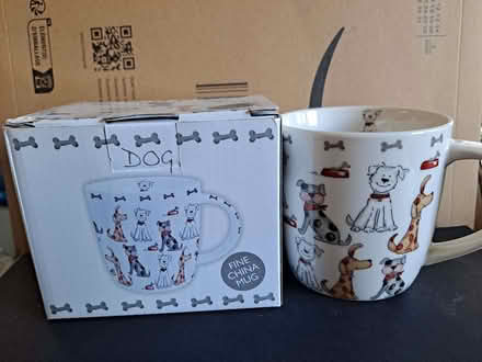 Photo of free Cute Dog China Mug (Loughborough LE11) #1
