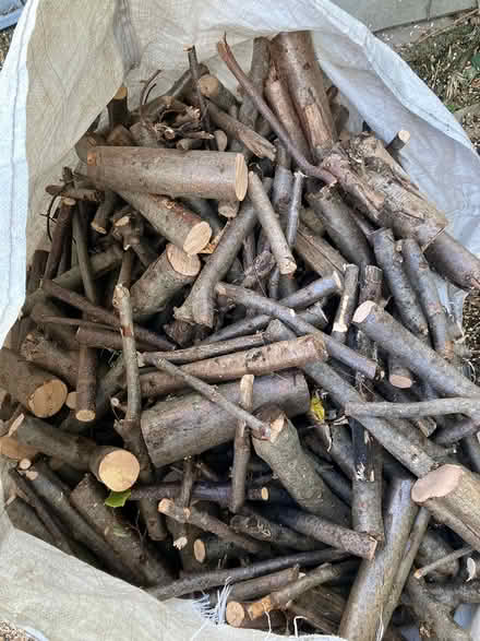 Photo of free Firewood (Elmers End - BR3) #1