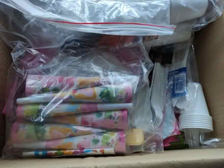 Photo of free Kid's party disposable plates,cups etc (High Town LU2) #1