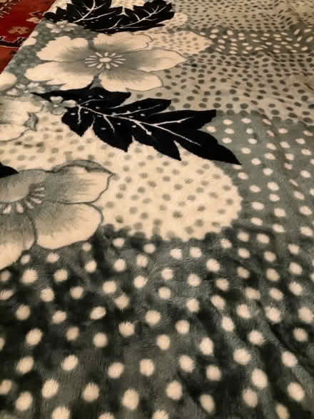 Photo of free Large Blanket (Ruislip UB10) #1