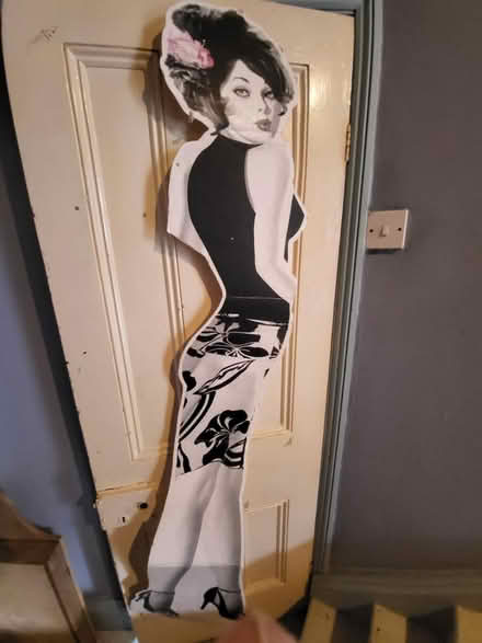 Photo of free 2m movie cut out (Splott, CF24) #1