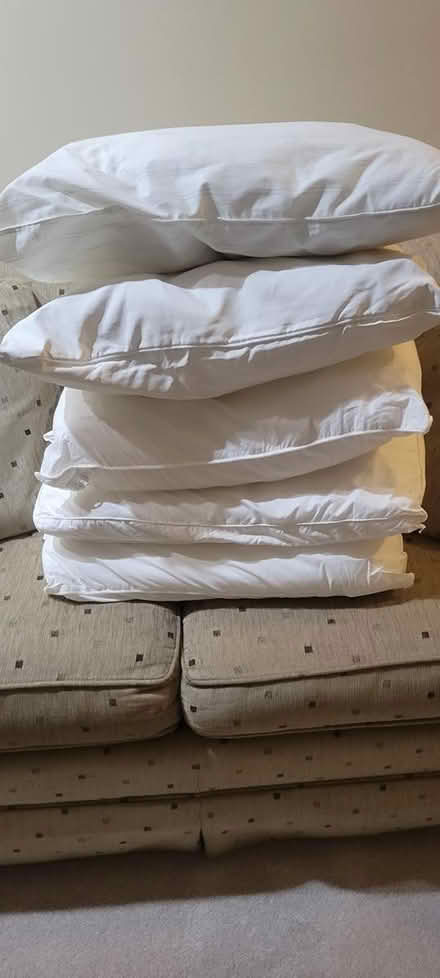 Photo of free Pillows (Clinton Township 48038-5314) #1