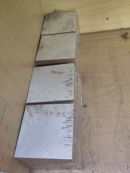 Photo of free small white wall tiles (Caversham Heights RG4) #1