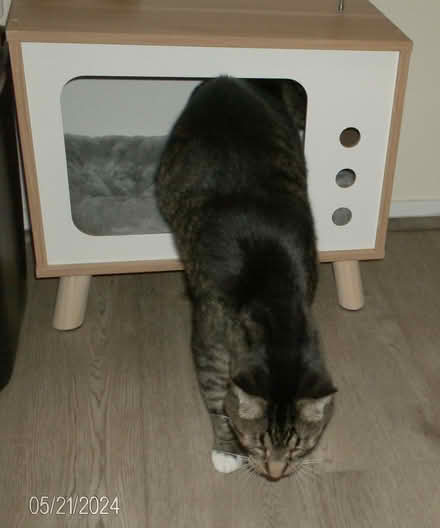 Photo of free cat condo shaped like TV (Western Dearborn) #2