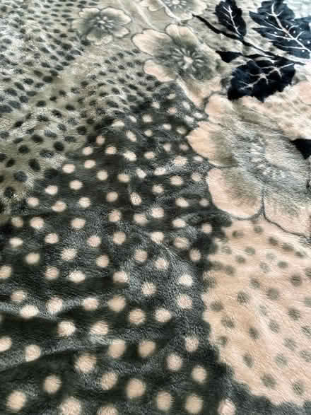 Photo of free Large Blanket (Ruislip UB10) #2