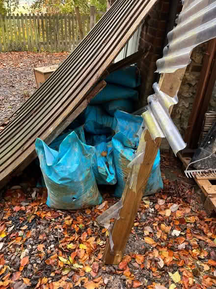 Photo of free Anthracite coal beans (South Oxfordshire OX39) #1