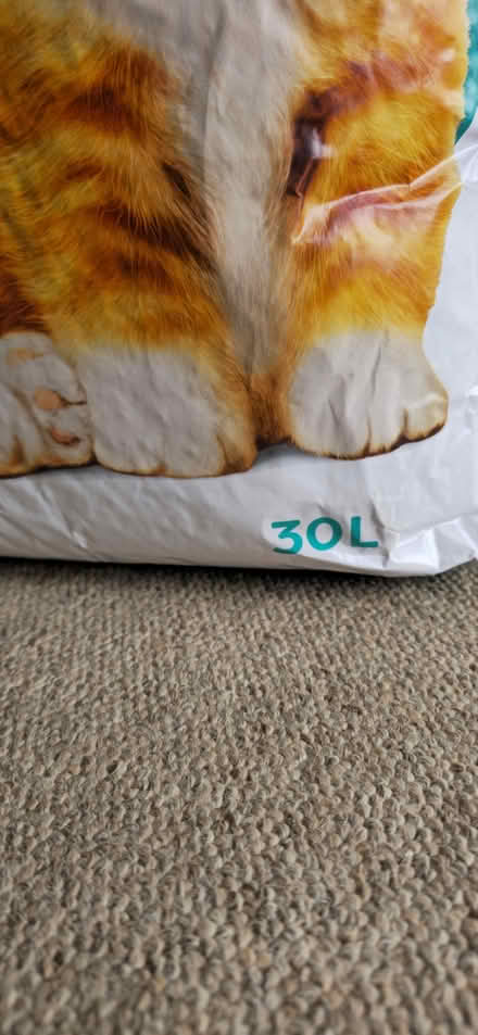 Photo of free Cat Litter #2 (Ramsey) #2