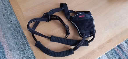 Photo of free Dog halter (Cullompton south) #1