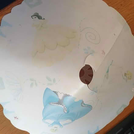 Photo of free Disney Princess lampshade & frieze (St Helens TN34) #1