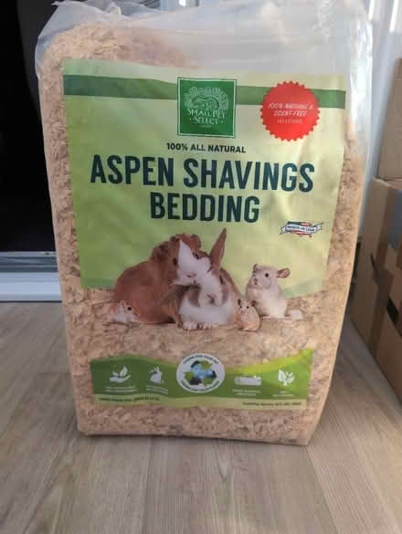Photo of free Aspen shavings (NG24) #1