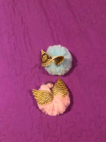 Photo of free Puff keychains (South Loop) #1