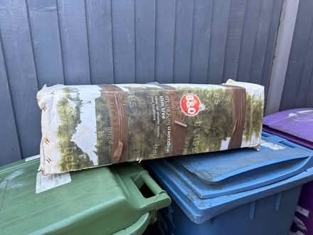 Photo of free Slim Christmas Tree 6ft (L11) #1