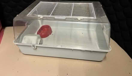 Photo of free Hamster cage (CM3 East Hanningfield.) #1