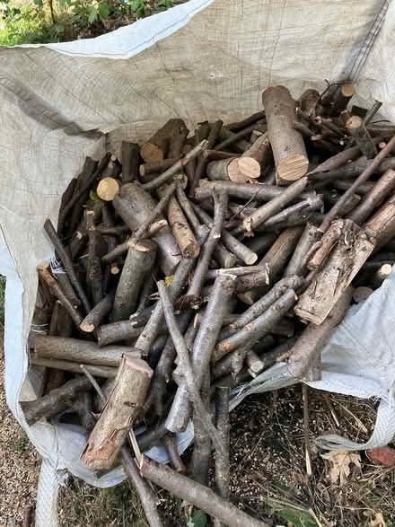 Photo of free Firewood (Elmers End - BR3) #2