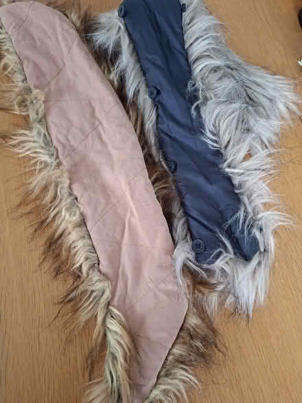 Photo of free 2 'Fur' Coat Collars (Panshanger AL7) #2