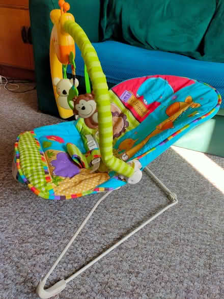 Photo of free Baby bouncer (Lakenham NR1) #3