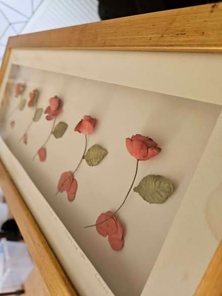 Photo of free 3d picture from Next (Crag Bank LA5) #2