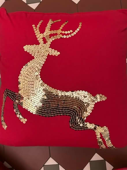 Photo of free Christmas cushions (Over CB24) #2