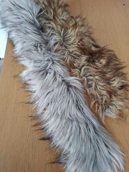 Photo of free 2 'Fur' Coat Collars (Panshanger AL7) #1