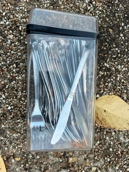 Photo of free Salt and pepper sets & cutlery (CM3 East Hanningfield.) #1