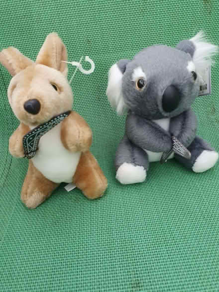 Photo of free Kangaroo & Koala small new (Booker HP12) #1