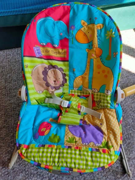 Photo of free Baby bouncer (Lakenham NR1) #2