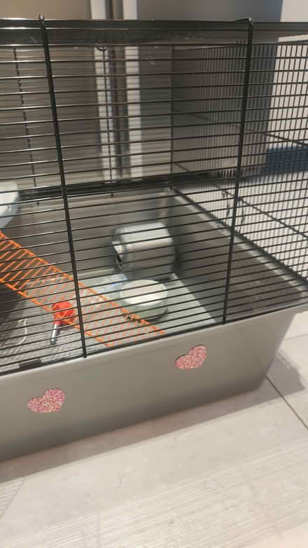 Photo of free Hamster cage and accessories (Sandiway CW8) #2