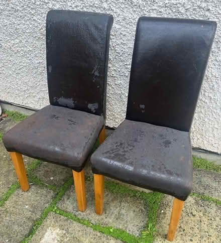 Photo of free Dining room chairs x2 (Shankill) #3